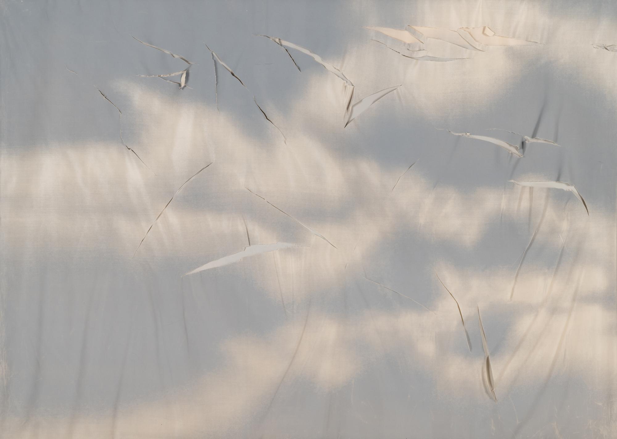 Untitled ( from Wash and Tear Series)