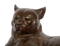 Cat , edition 8/20, 2007
