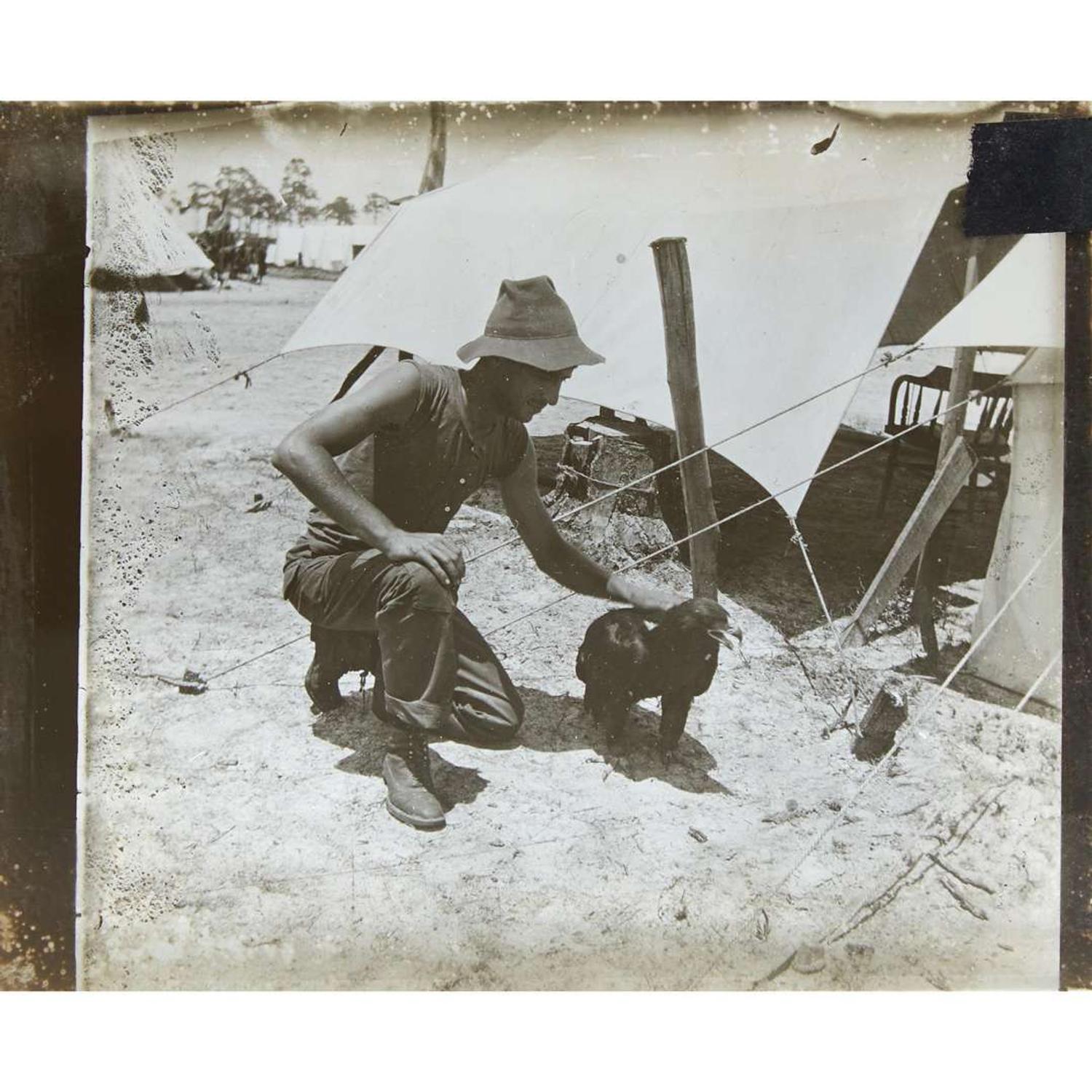 [Americana] [Rough Riders] Collection of 54 Photographic Glass Lantern Slides