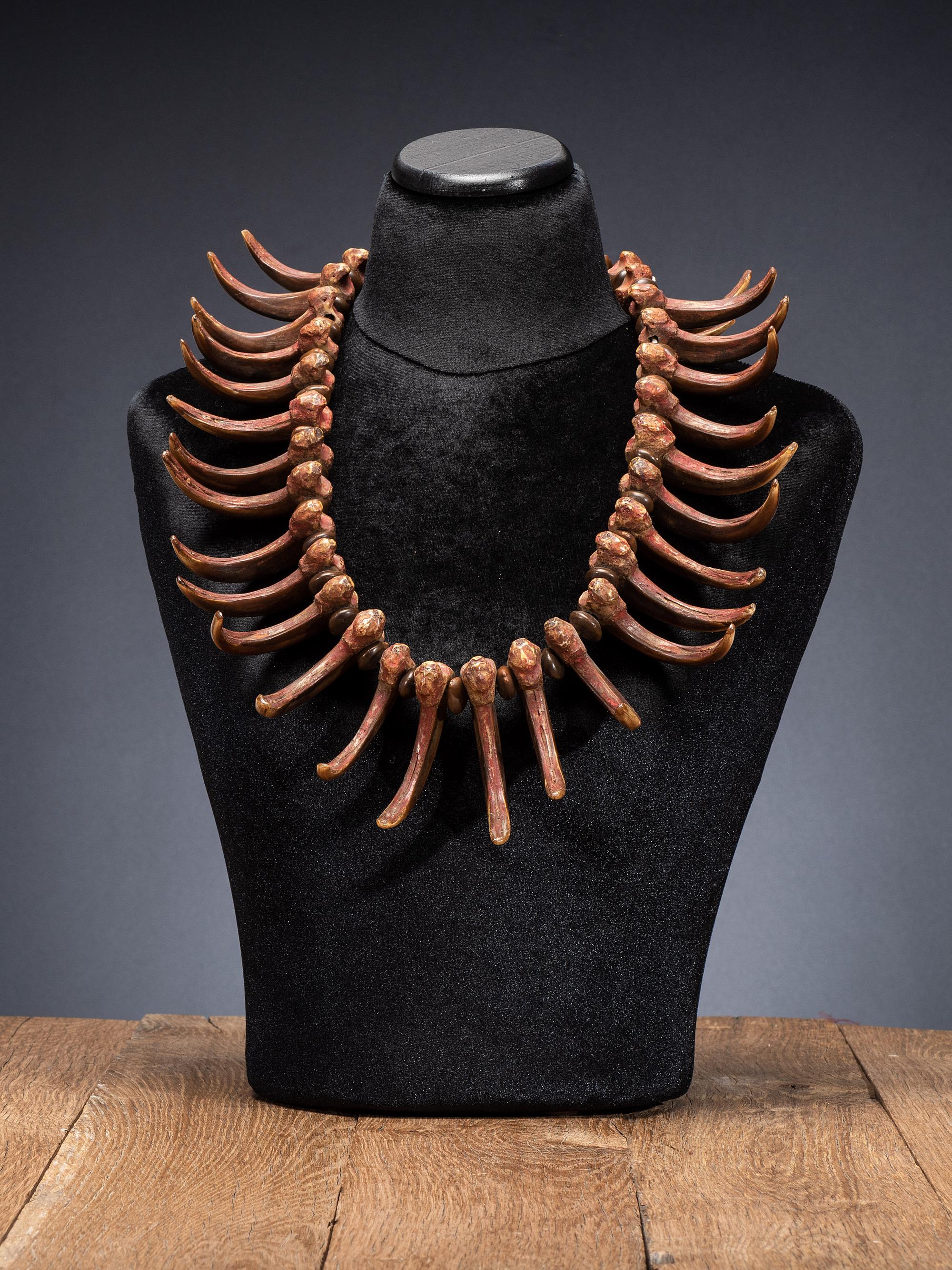 Sioux Grizzly Bear Claw Necklace