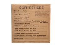 A Bound Set of Folk Art Scientific Drawings