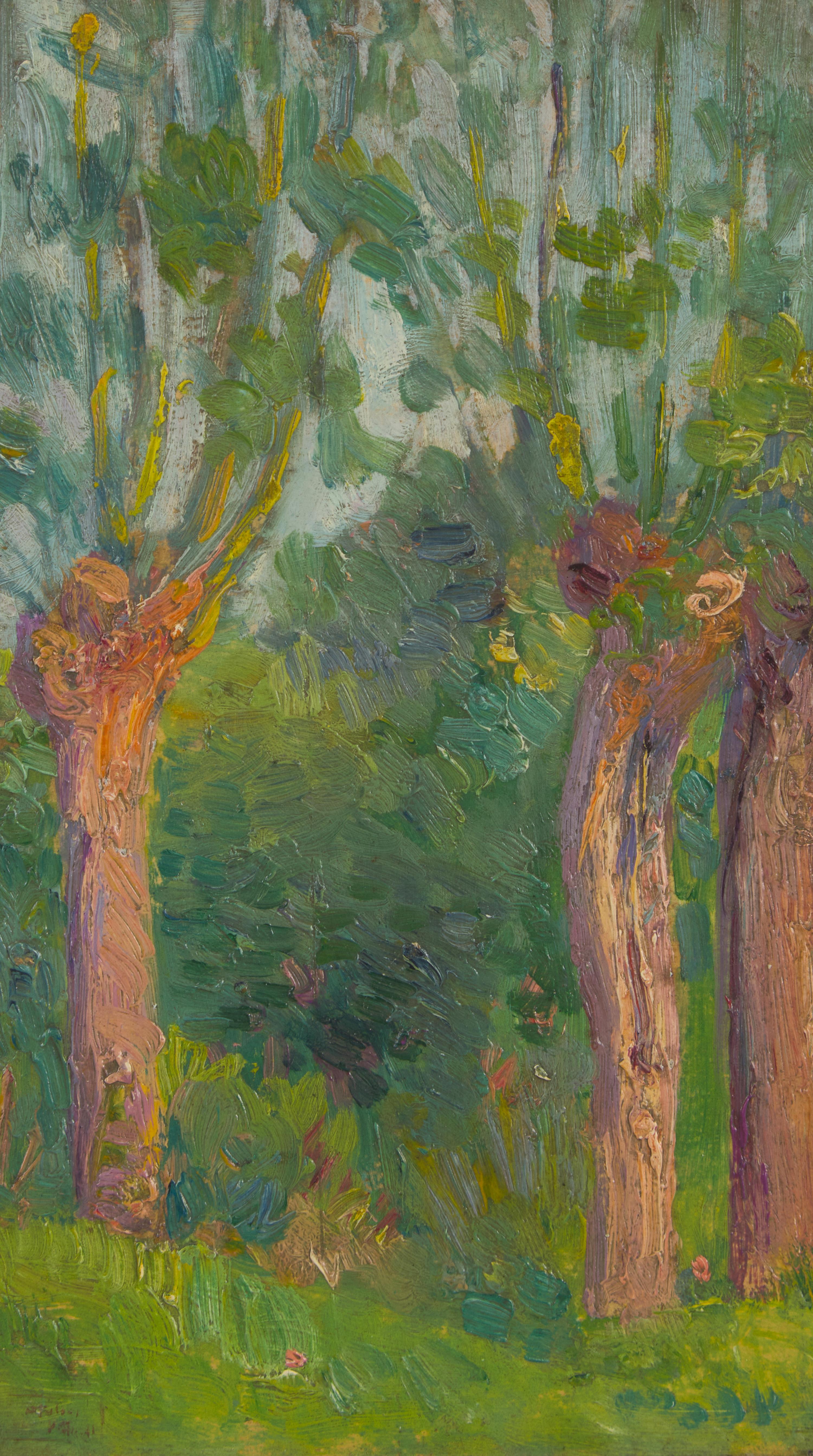 Paysage