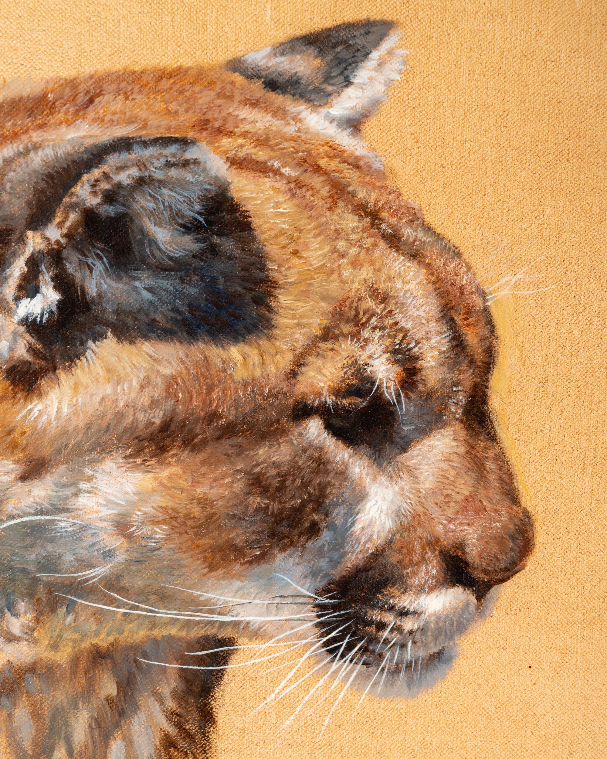 Mountain Lion