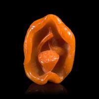A Chinese 'Beeswax' Amber Lotus Pod and Leaf Pendant — 蜜蠟雕荷葉蓮蓬墜