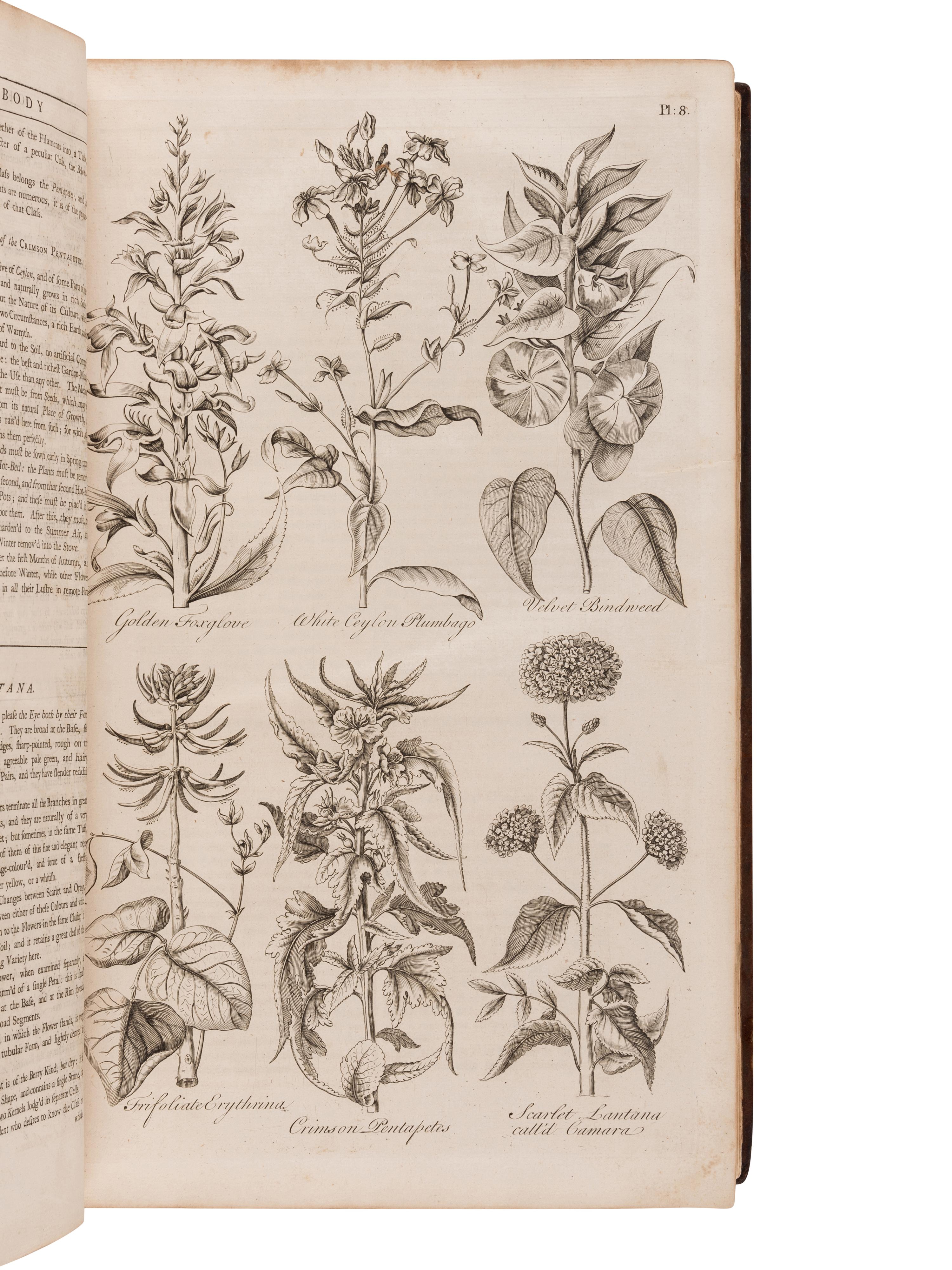 HALE, Thomas (fl. 1750). Eden: or, a Compleat Body of Gardening .... London: for T. Osborne, T. Trye, S. Crowder, and H. Woodgate, [1756-]1757.