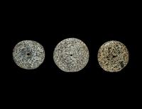 Three Neolithic Stone Discoidals