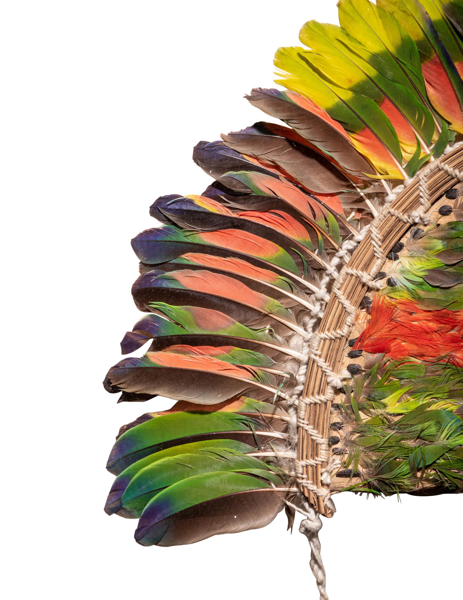 A Juruna Feather Headdress