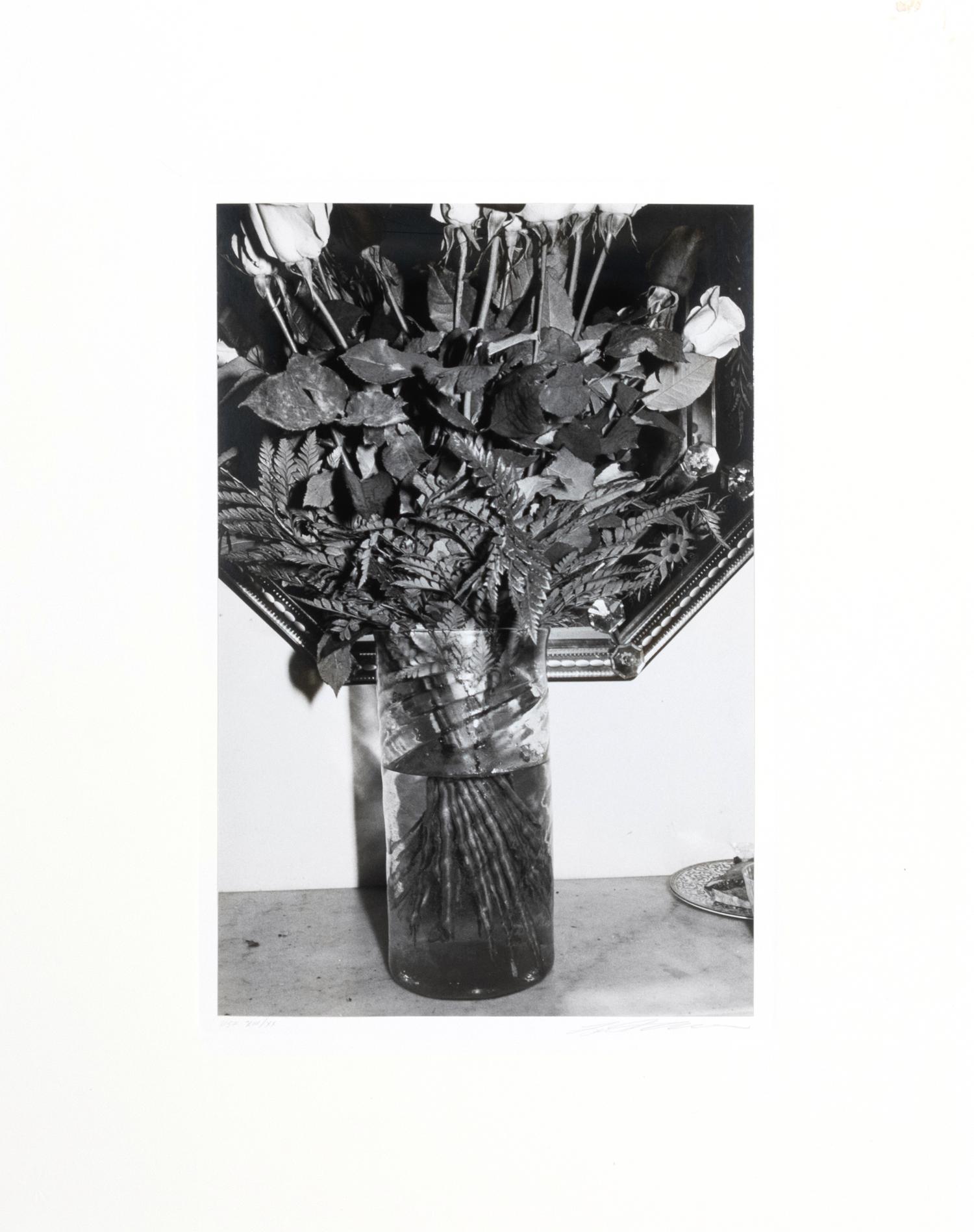 Photographs of Flowers