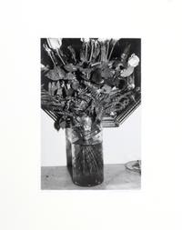 Photographs of Flowers