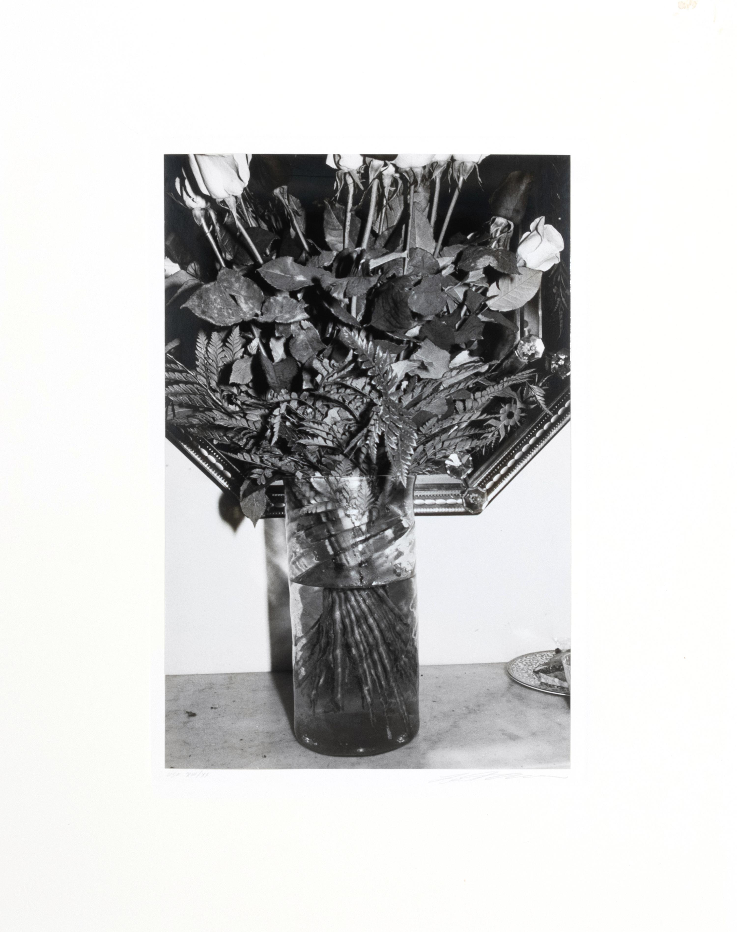 Photographs of Flowers