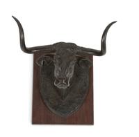 Longhorn Steer Head , number 12