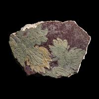 A Roman Fresco Fragment