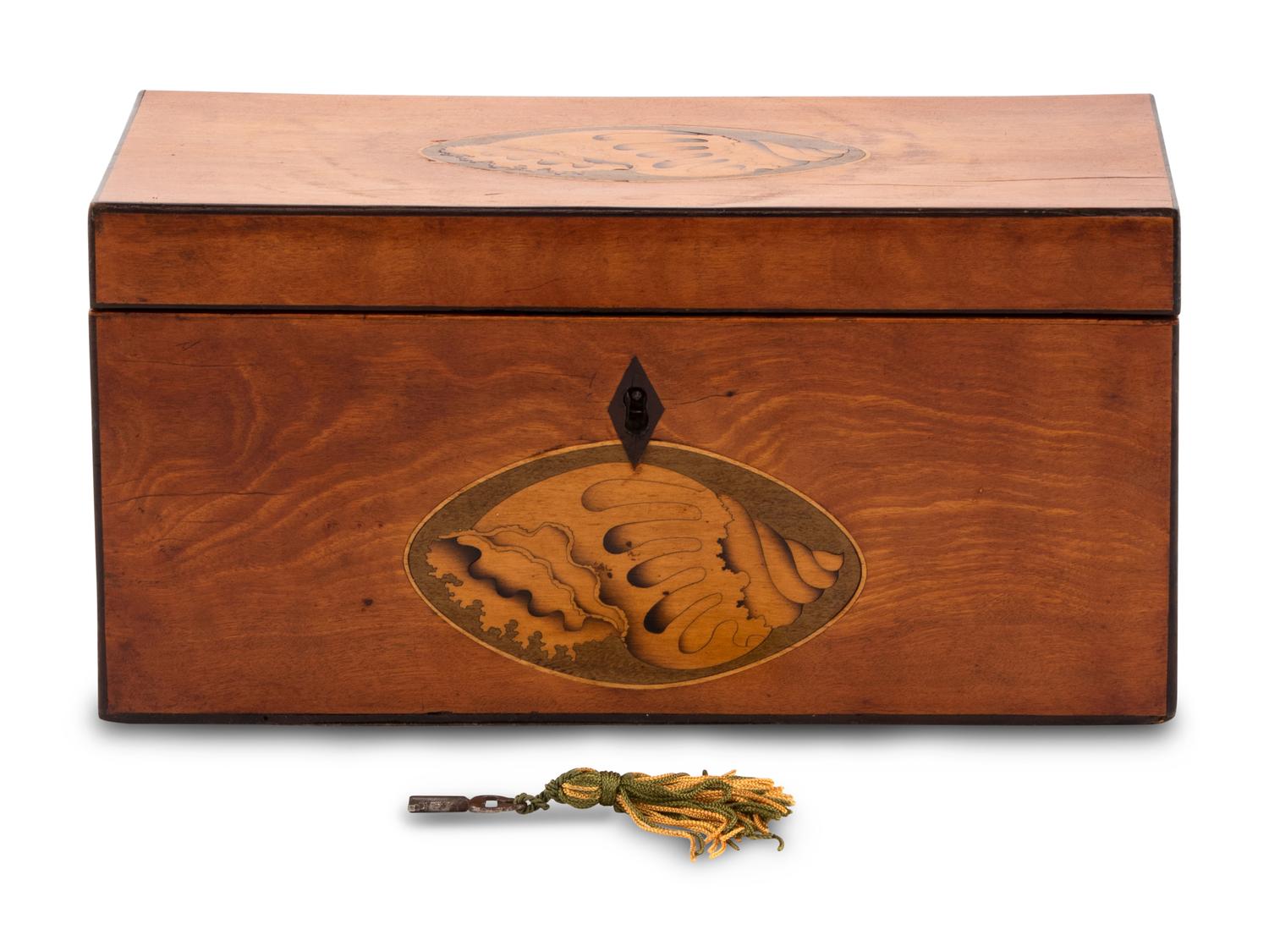 A Regency Satinwood and Marquetry Tea Caddy