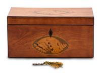 A Regency Satinwood and Marquetry Tea Caddy