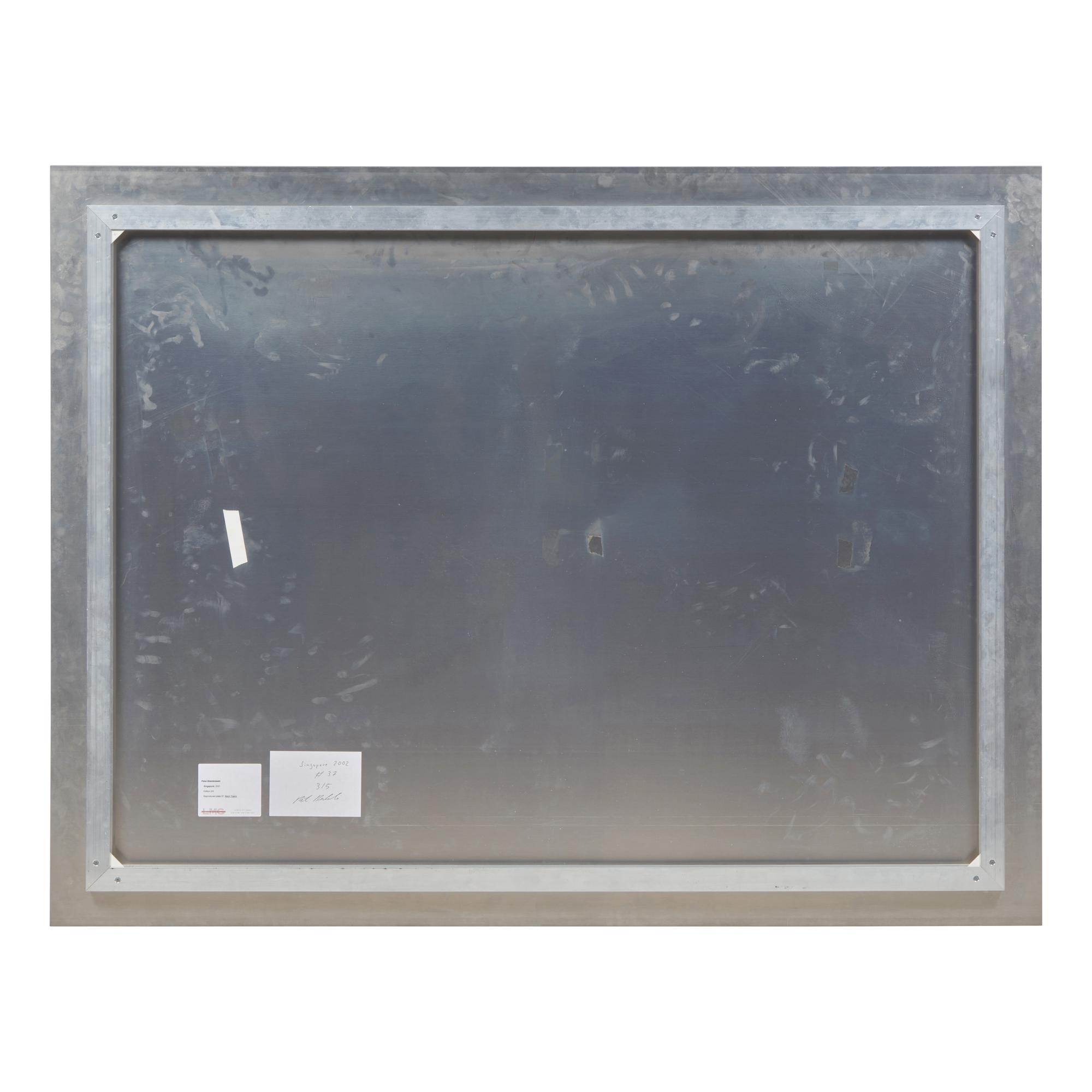 Peter Bialobrzeski (German, b. 1961) — Singapore , #37 (from Neon Tigers ) , 2002