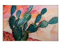 Cacti