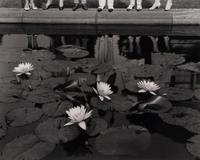 A group of six photographs (from Juxtapositions printed by George Tice with labels signed by George Tice and Joanna Steichen)