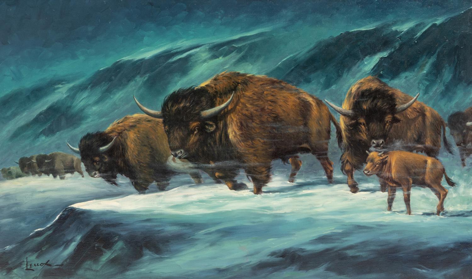 Where Did The Buffalo Come From?