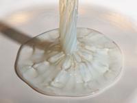 Opalescent Reactive Compote with Morning Glories