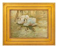 Ugly Duckling , 2001