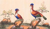 Seven Chinese Export Pith Paintings of Perched Birds and Flowers