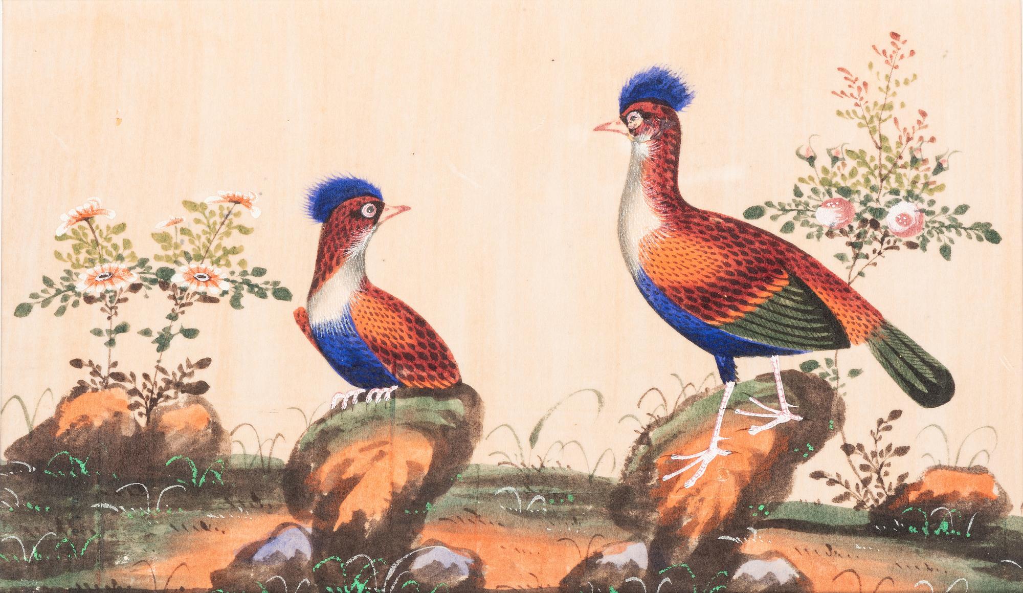 Seven Chinese Export Pith Paintings of Perched Birds and Flowers