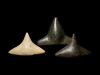 Three Taino Stone Trigonolitos