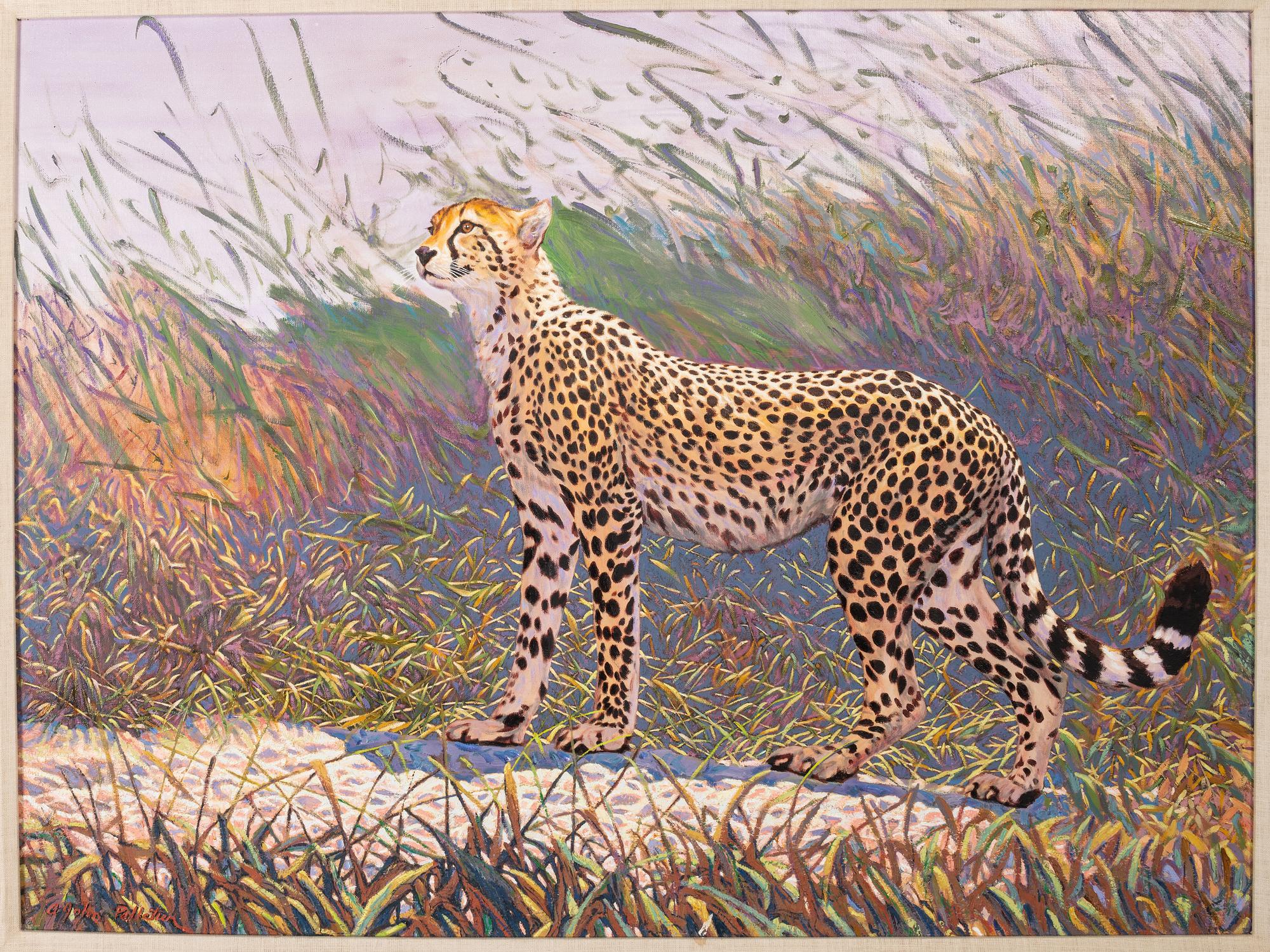 Cheetah