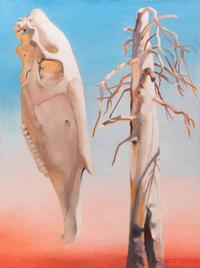 Wild Horse Skull with Dead Snag , 1989