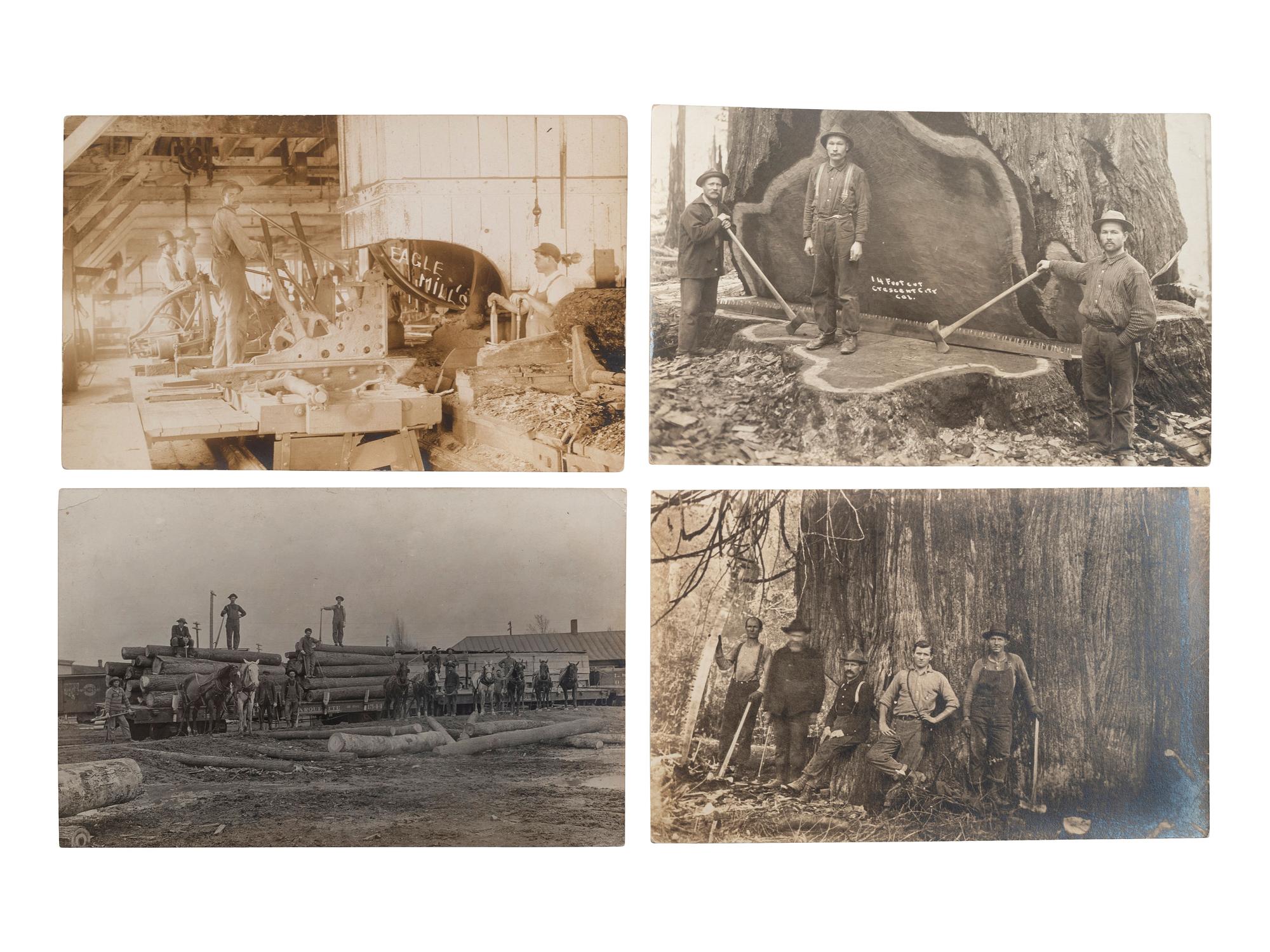[EPHEMERA]. A group of 72 RPPCs and photographs of logging views.