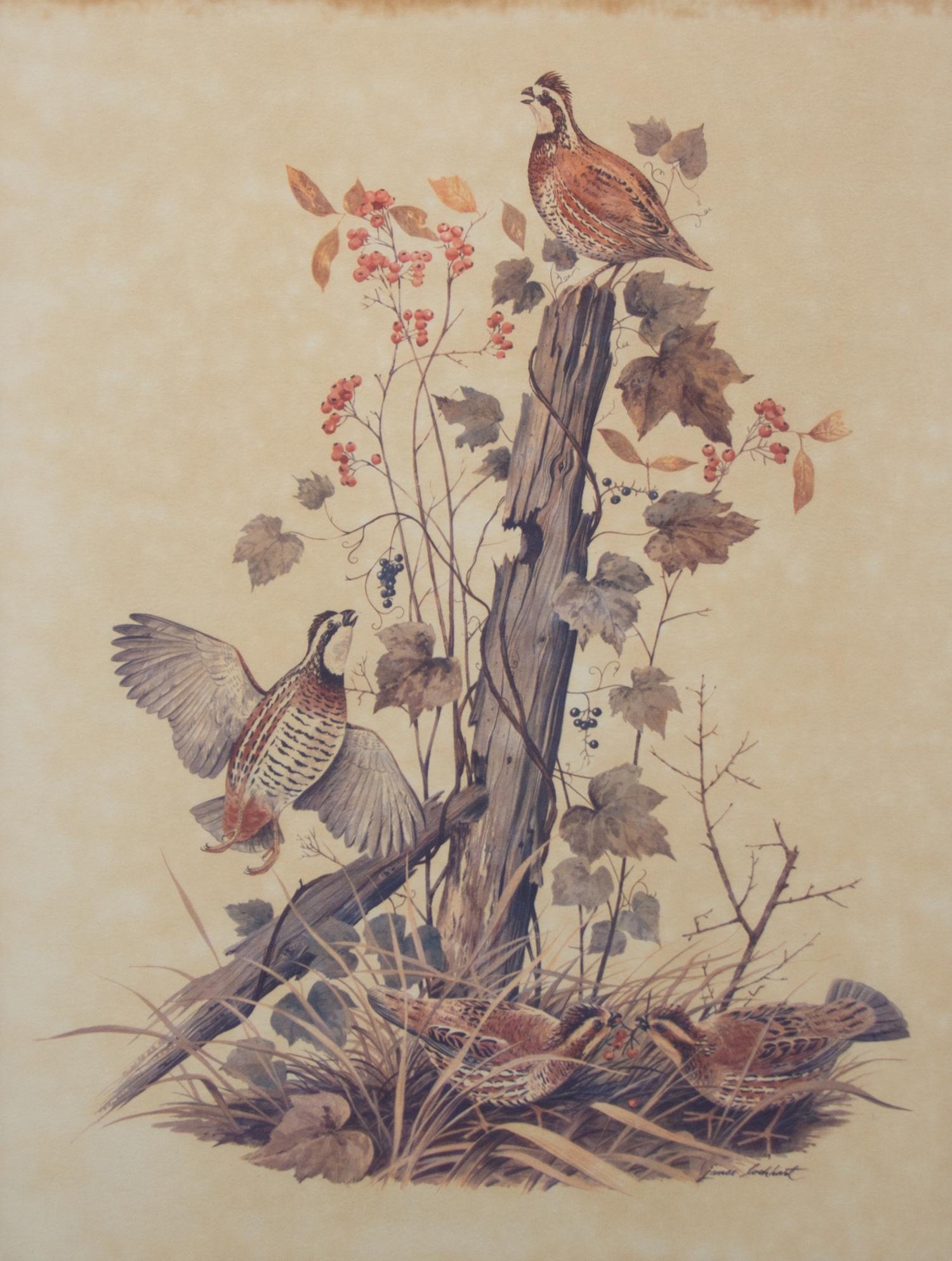 Four American Ornithological Off-Set Lithographs
