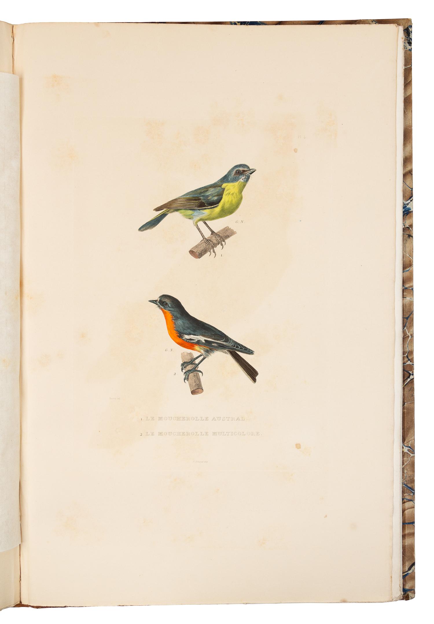 BOUGAINVILLE, Hyacinthe Yves Philippe Potentien, Baron de. Journal de la Navigation Autour du Globe. Paris, 1837. FIRST EDITION.