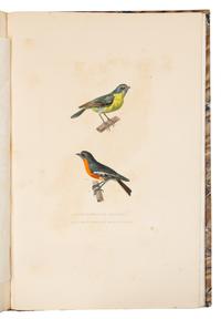 BOUGAINVILLE, Hyacinthe Yves Philippe Potentien, Baron de. Journal de la Navigation Autour du Globe. Paris, 1837. FIRST EDITION.