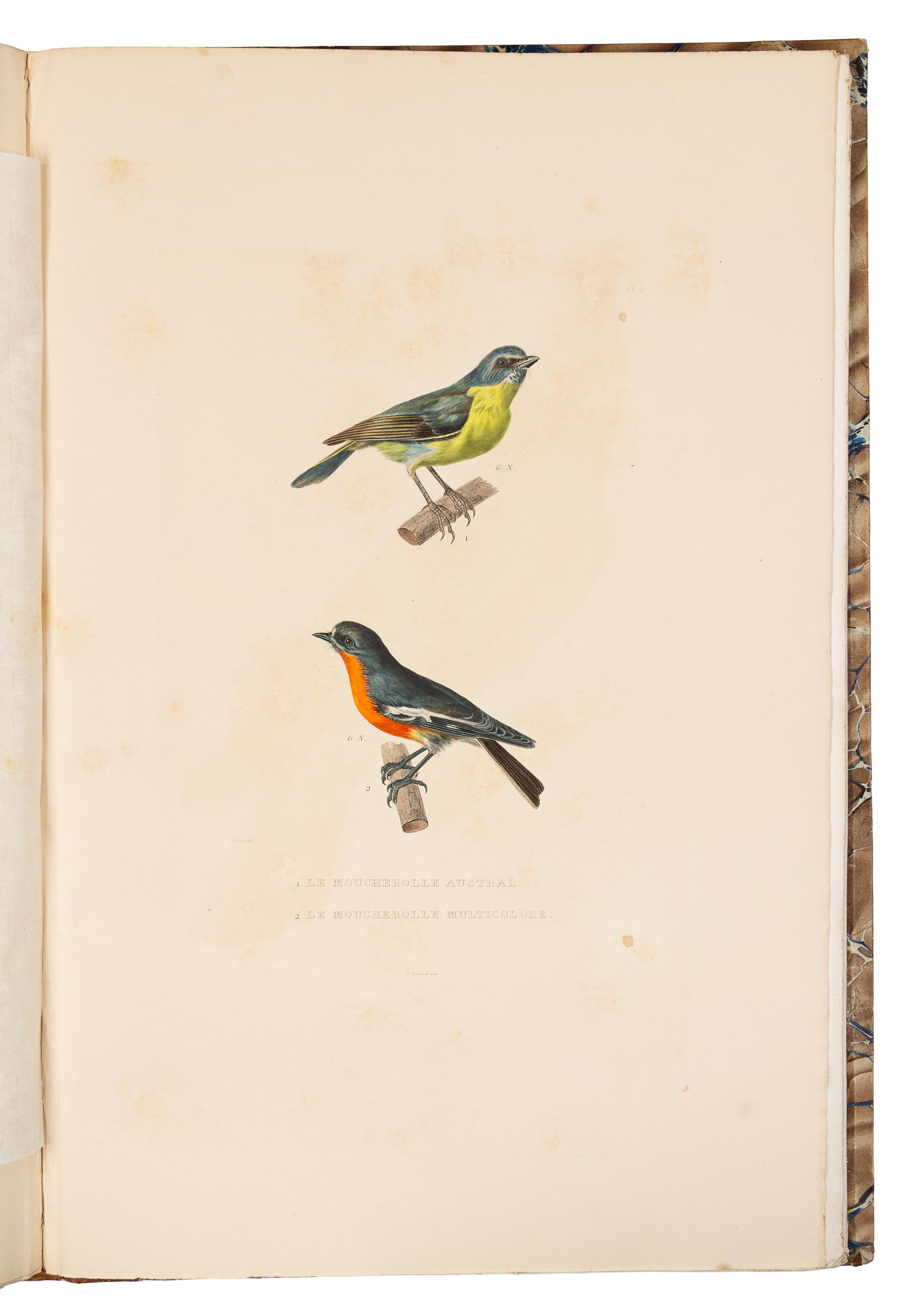 BOUGAINVILLE, Hyacinthe Yves Philippe Potentien, Baron de. Journal de la Navigation Autour du Globe. Paris, 1837. FIRST EDITION.