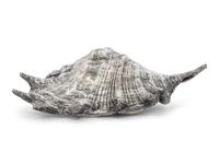 A Federico Buccellati Silver-Plate Mounted Conch Shell