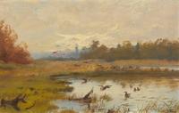 Swamp in Wisconsin with Ducks