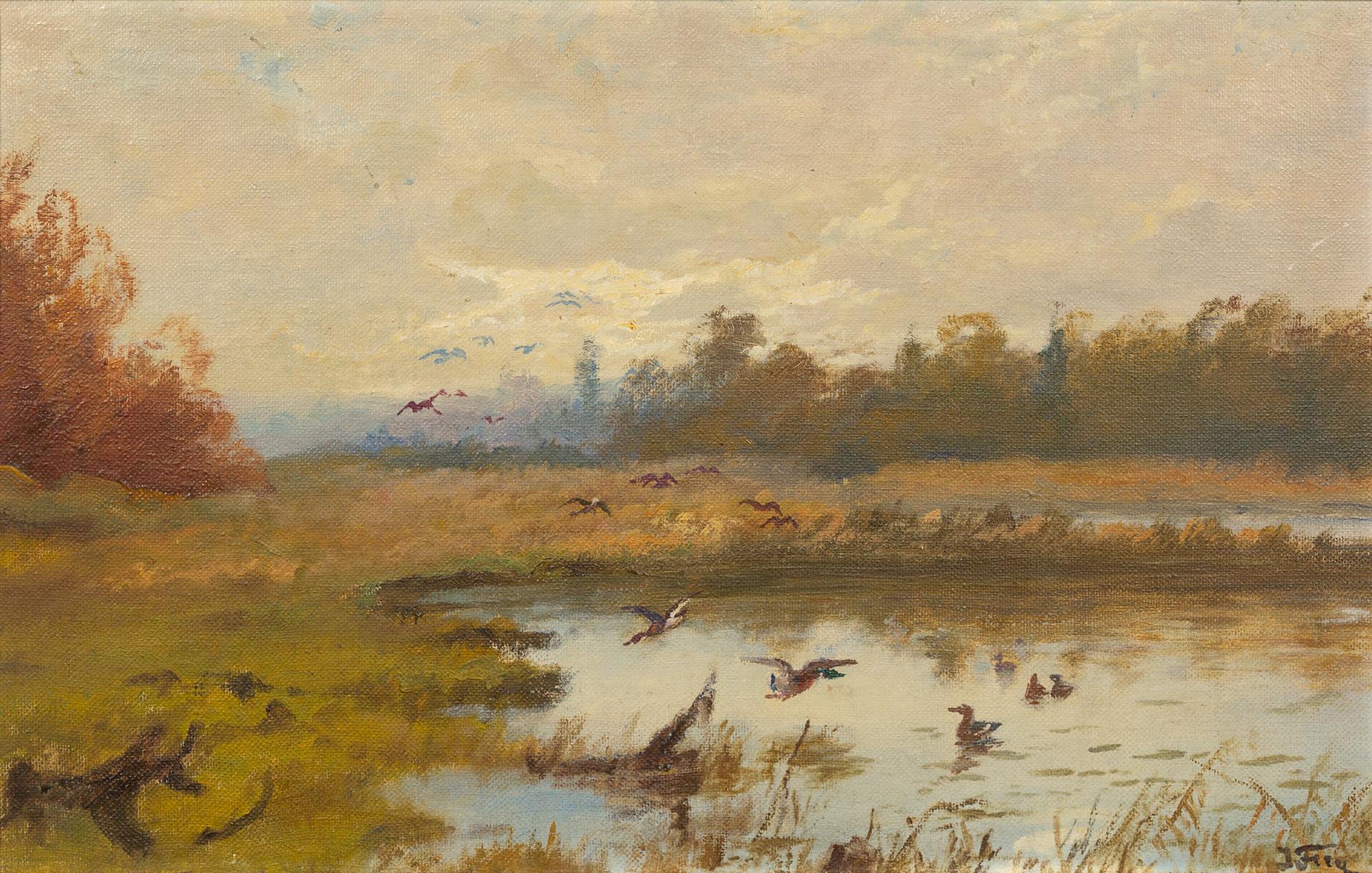 Swamp in Wisconsin with Ducks