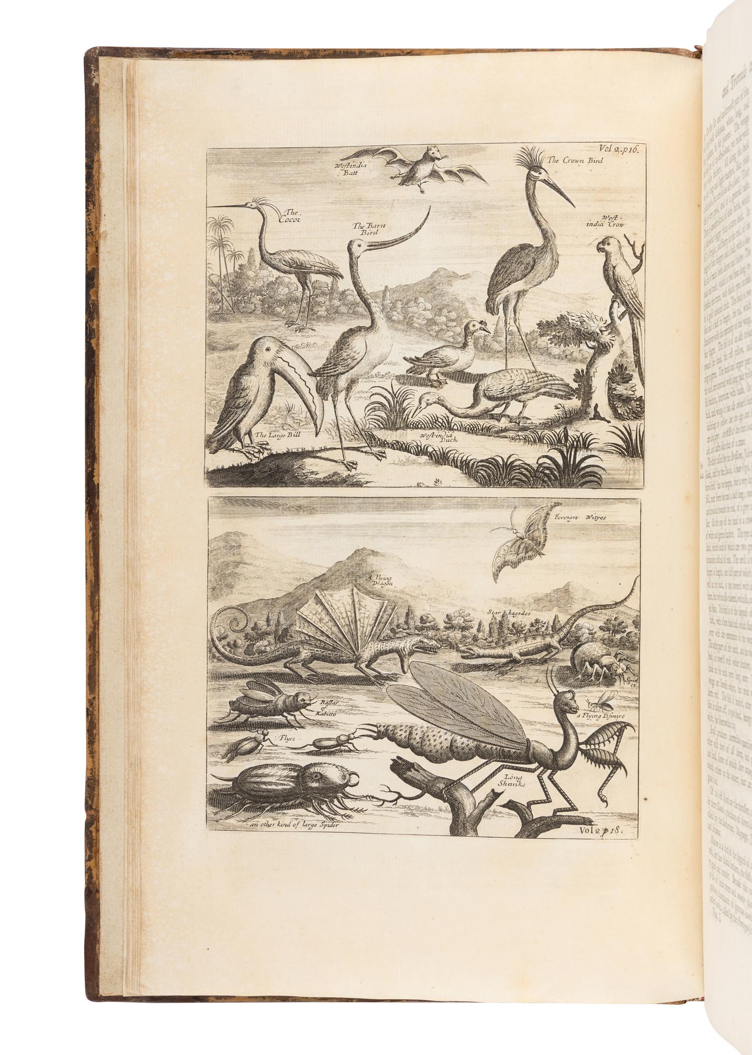 CHURCHILL, Awnsham (d. 1728), John CHURCHILL (fl. 1695) and Thomas OSBORNE (c. 1767). A Collection of Voyages and Travels, Some now First Printed from Original Manuscripts, others now first published in English. In Eight volumes. London: Printed by Assignment from Messieurs Churchill, for Thomas Osborne, 1752.