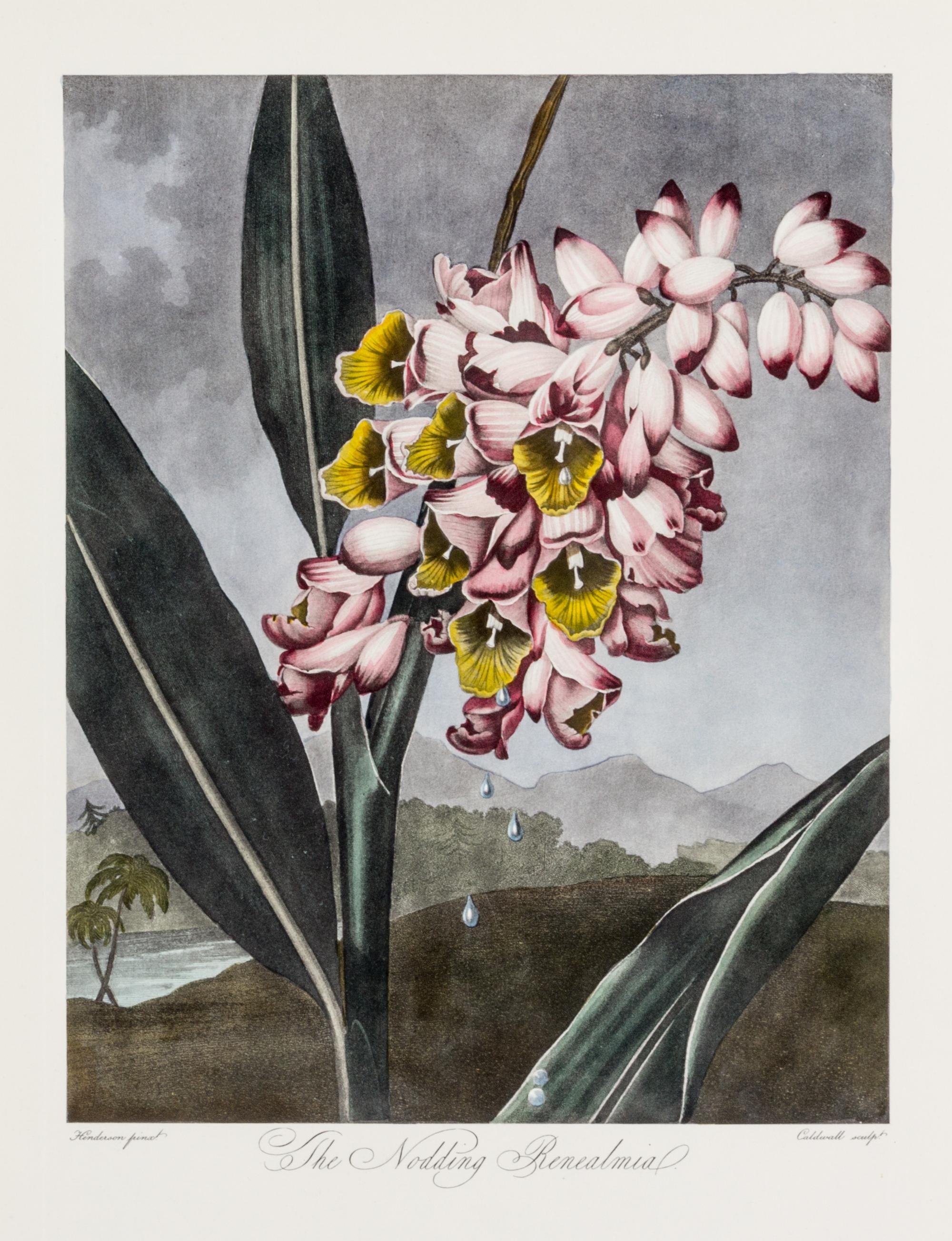 THORNTON, ROBERT, SIR. A group of eight color lithographs from the Temple of Flora, facsimile edition, circa 1951.