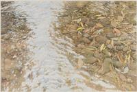 Under Redwood Creek