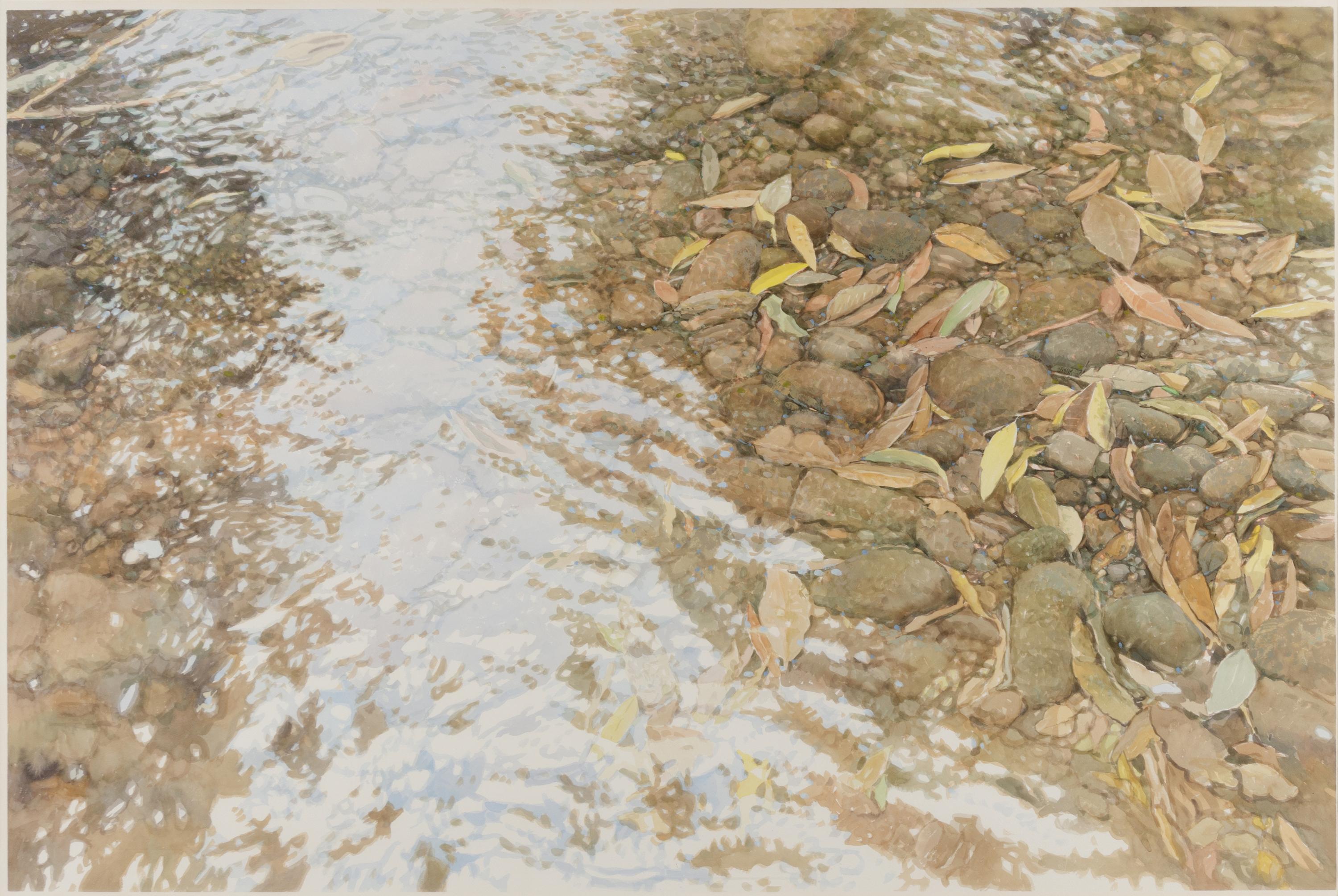 Under Redwood Creek