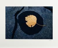 Ernst Haas (American/Austrian, 1921–1986) — The Creation (complete portfolio of ten with text pages and portfolio case), 1982