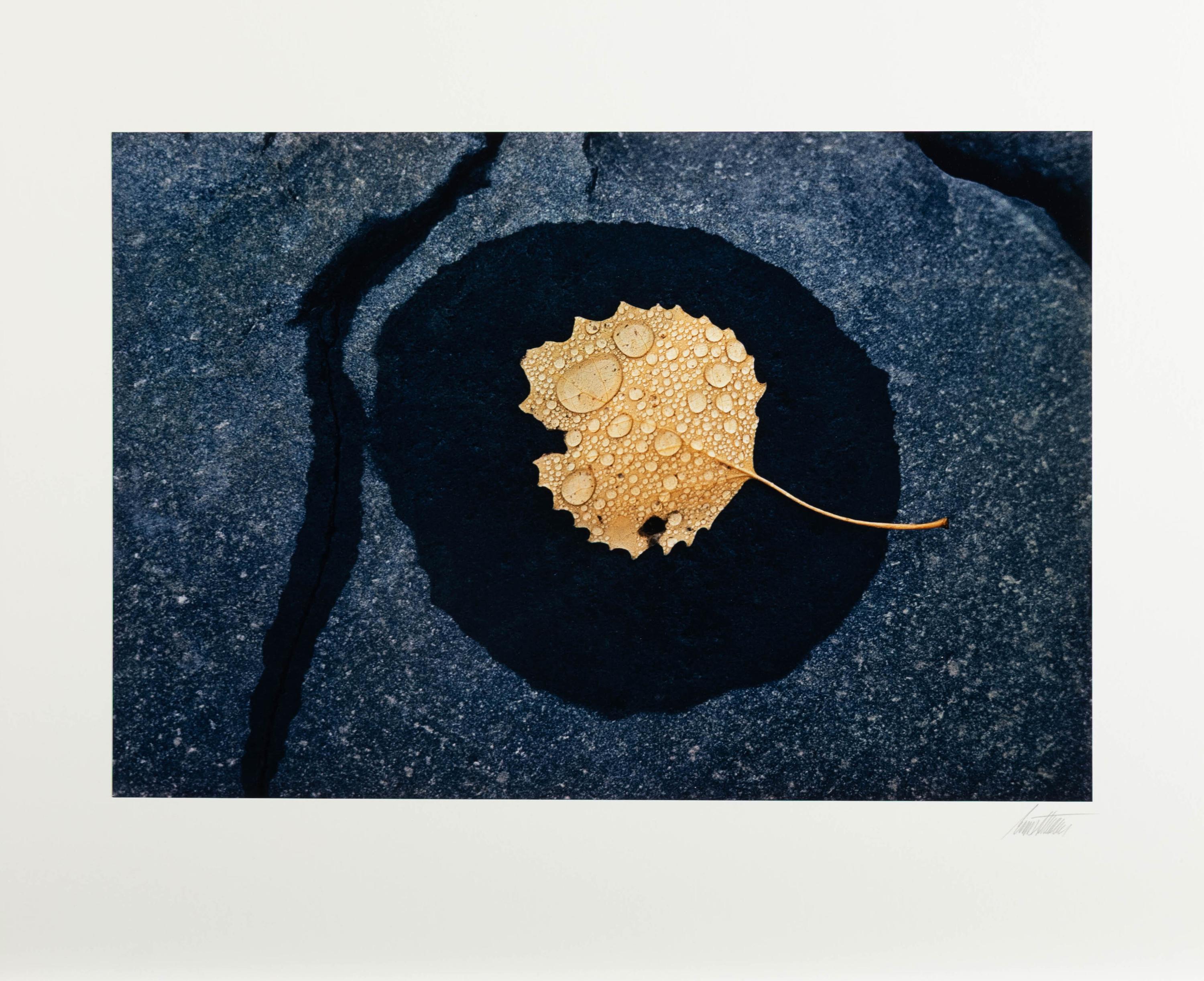 Ernst Haas (American/Austrian, 1921–1986) — The Creation (complete portfolio of ten with text pages and portfolio case), 1982
