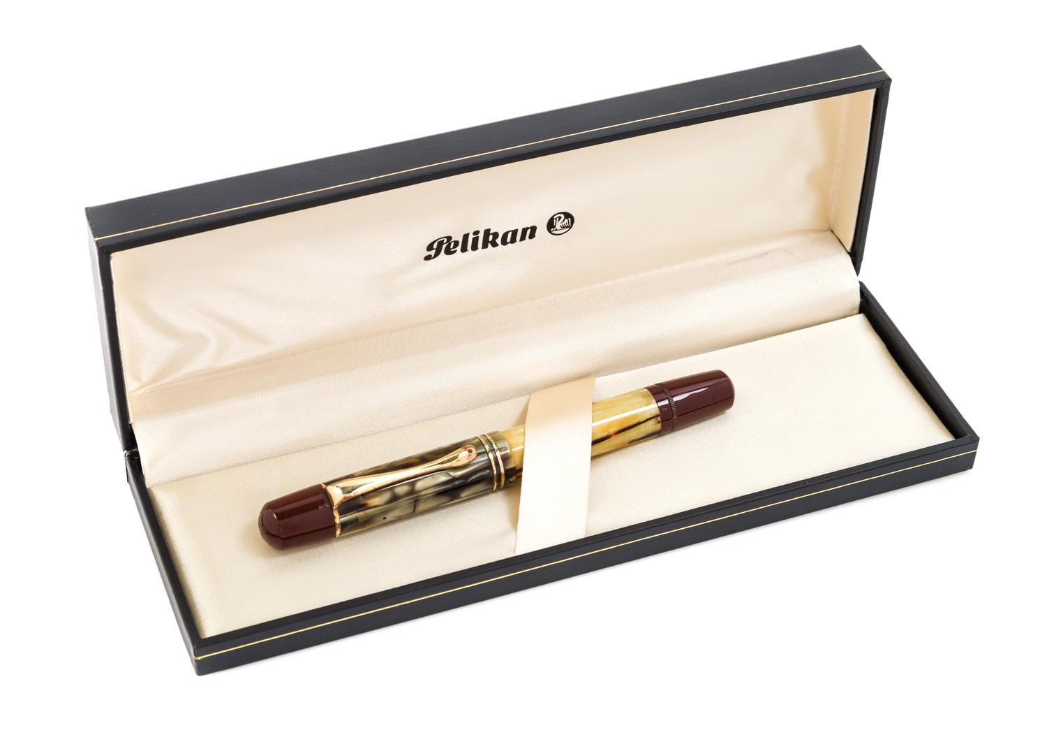 A Pelikan Gunther Wagner 100 Fountain Pen