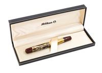 A Pelikan Gunther Wagner 100 Fountain Pen
