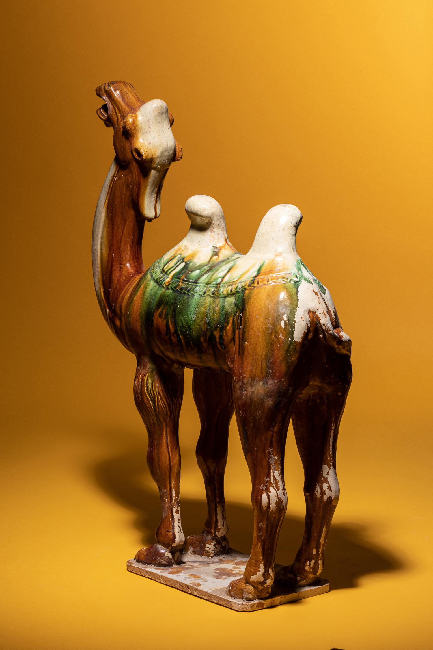 A Sancai Glazed Pottery Figure of a Camel