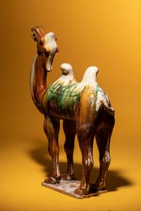A Sancai Glazed Pottery Figure of a Camel