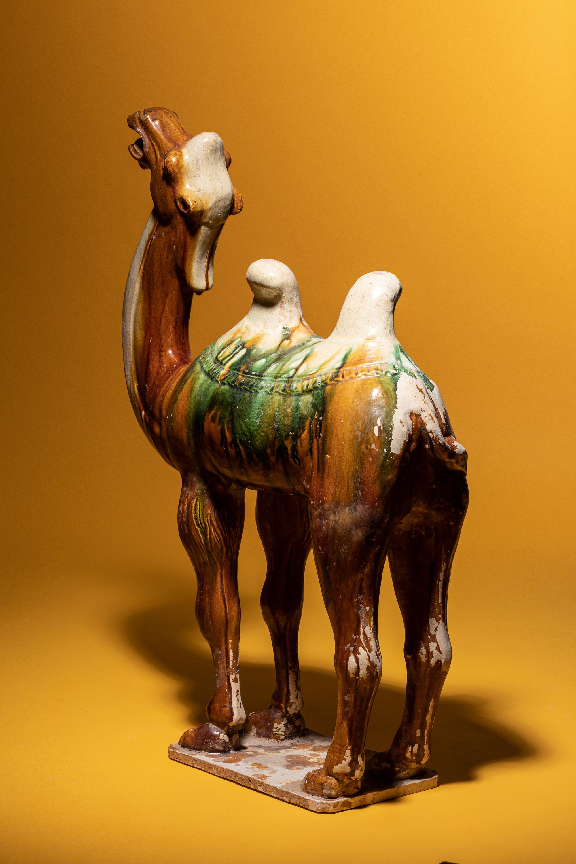 A Sancai Glazed Pottery Figure of a Camel
