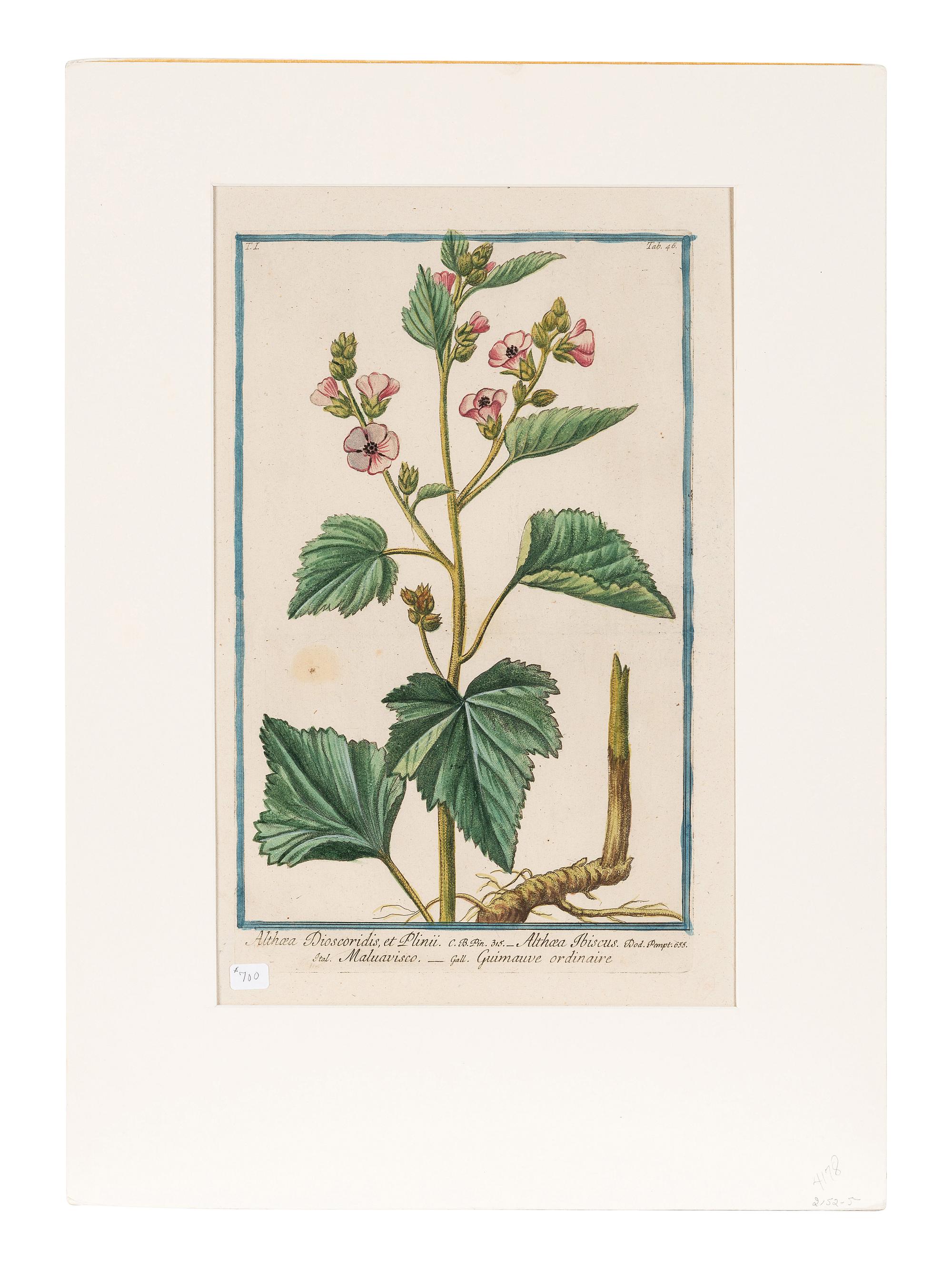Giorgio Bonelli (Italian, 1724-1782)