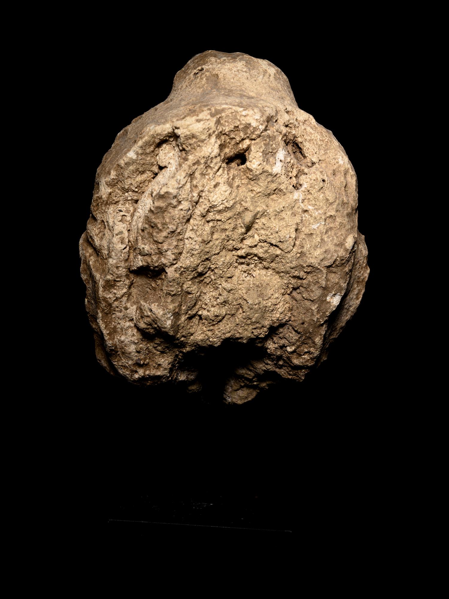 Two Gandharan Fragmentary Stucco Heads